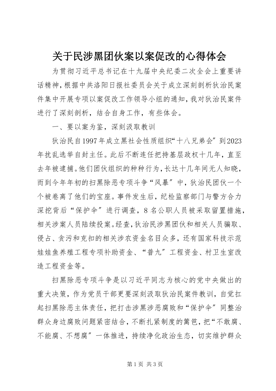 2023年民涉黑团伙案以案促改的心得体会.docx_第1页