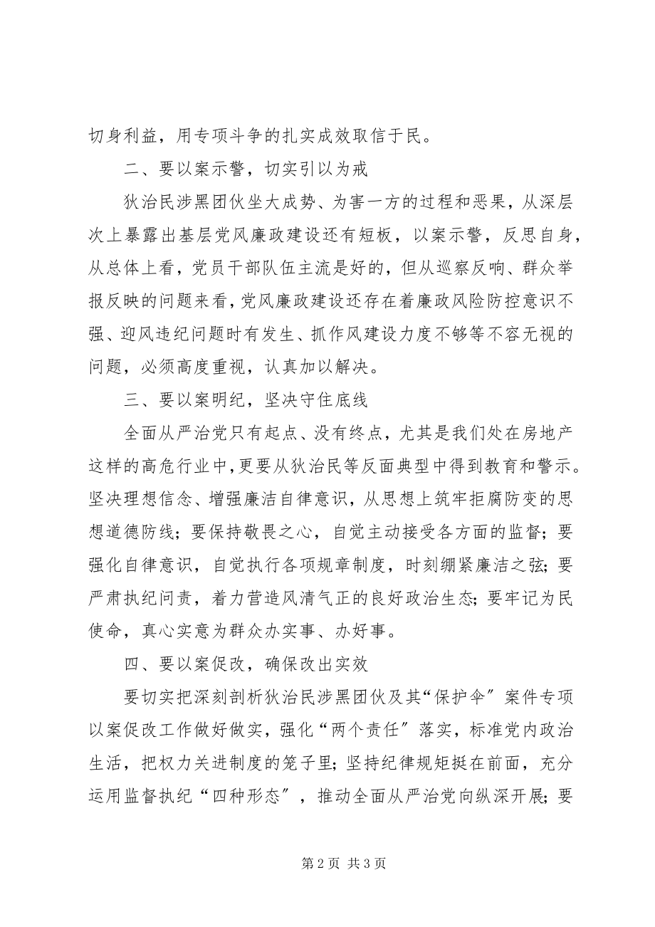 2023年民涉黑团伙案以案促改的心得体会.docx_第2页