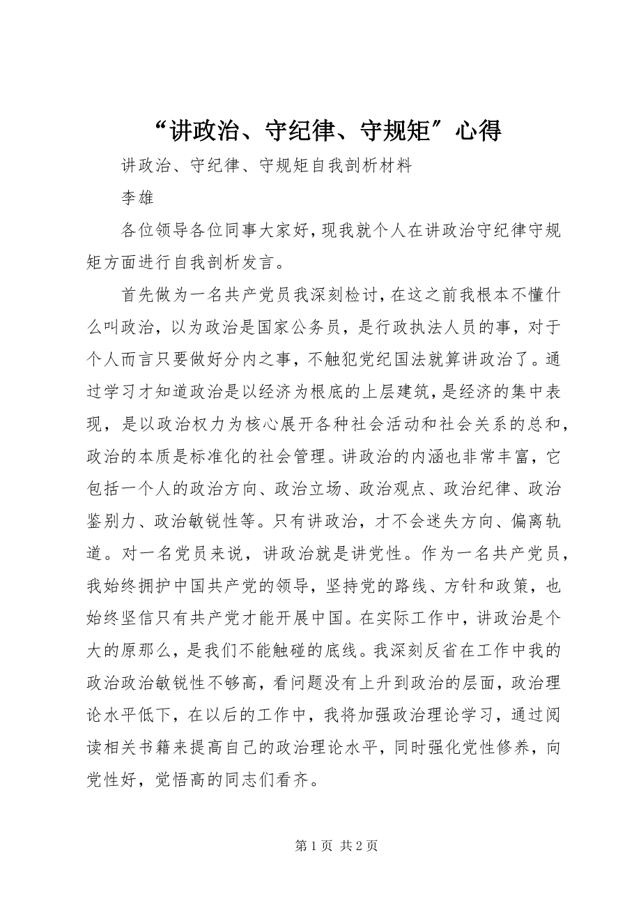 2023年讲政治守纪律守规矩心得.docx_第1页