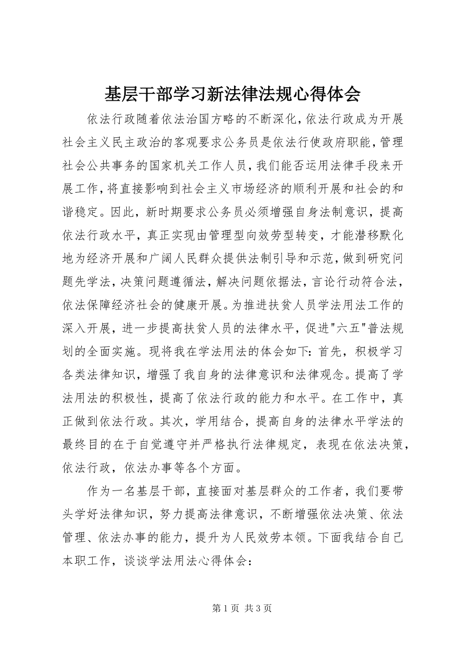 2023年基层干部学习新法律法规心得体会.docx_第1页