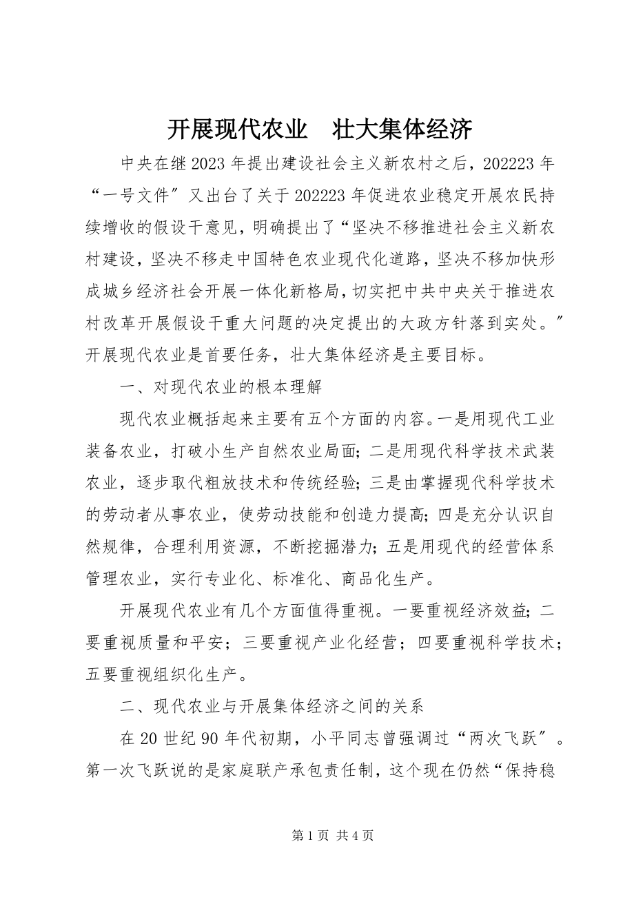 2023年发展现代农业　壮大集体经济.docx_第1页