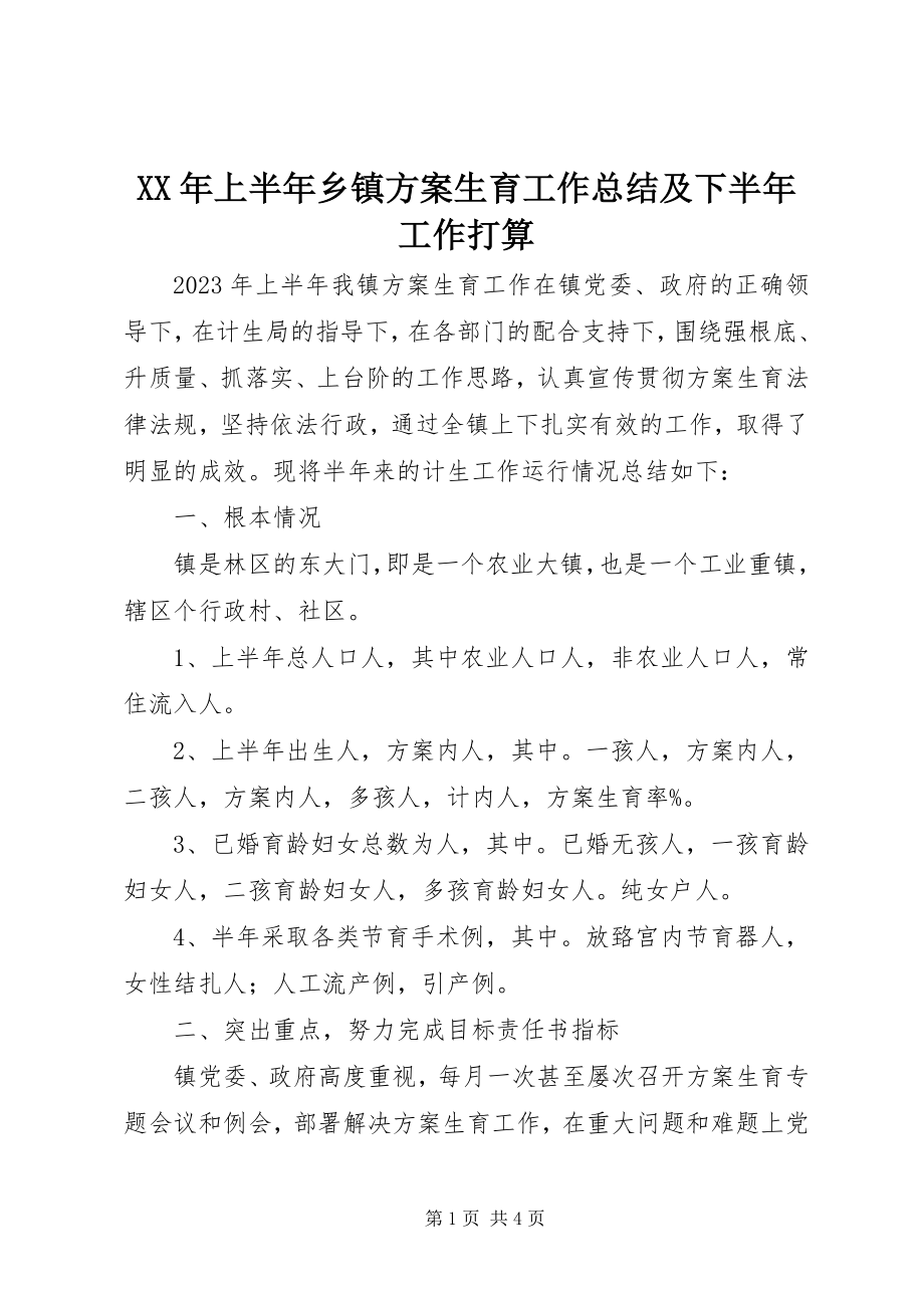 2023年上半年乡镇计划生育工作总结及下半工作打算.docx_第1页