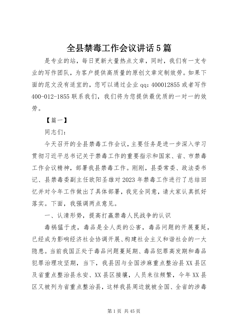 2023年全县禁毒工作会议致辞5篇.docx_第1页