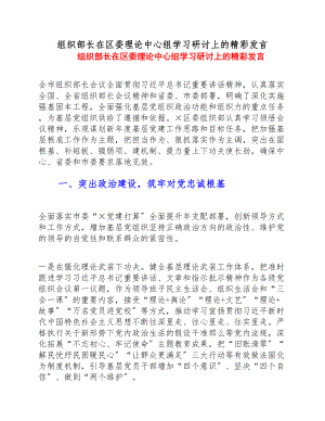 2023年组织部长在区委理论中心组学习研讨上的精彩发言.doc