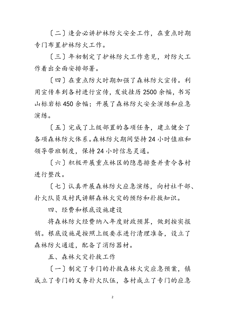 2023年年镇森林防火半年工作总结范文.doc_第2页