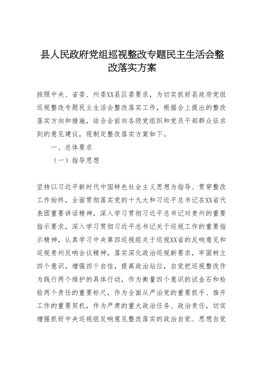 2023年县人民政府党组巡视整改专题民主生活会整改落实方案.doc_第1页