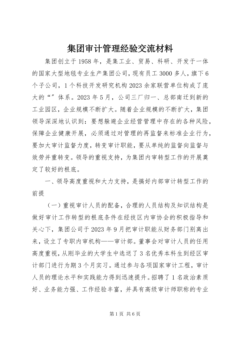 2023年集团审计管理经验交流材料.docx_第1页