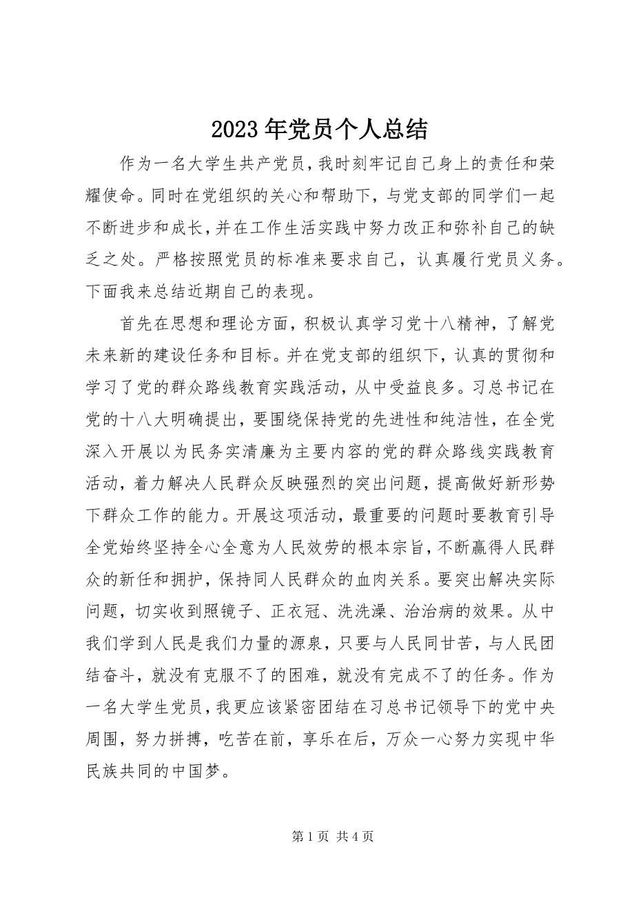 2023年党员个人总结3.docx_第1页