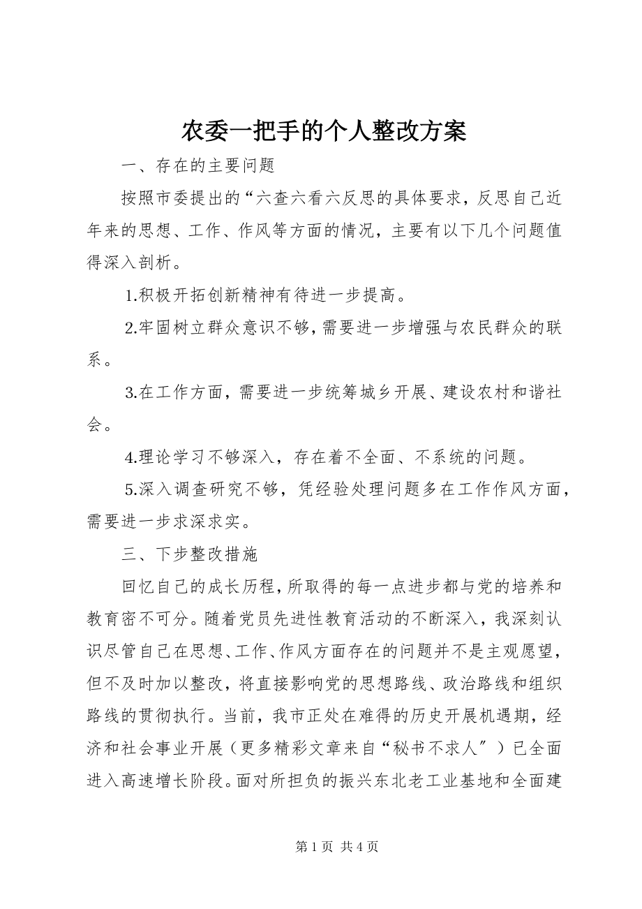 2023年农委一把手的个人整改方案.docx_第1页