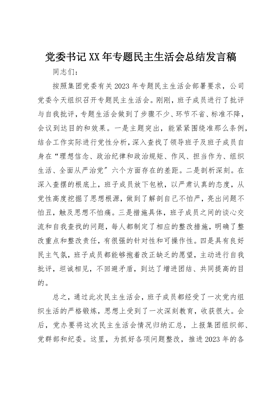 2023年党委书记某年专题民主生活会总结讲话稿.docx_第1页