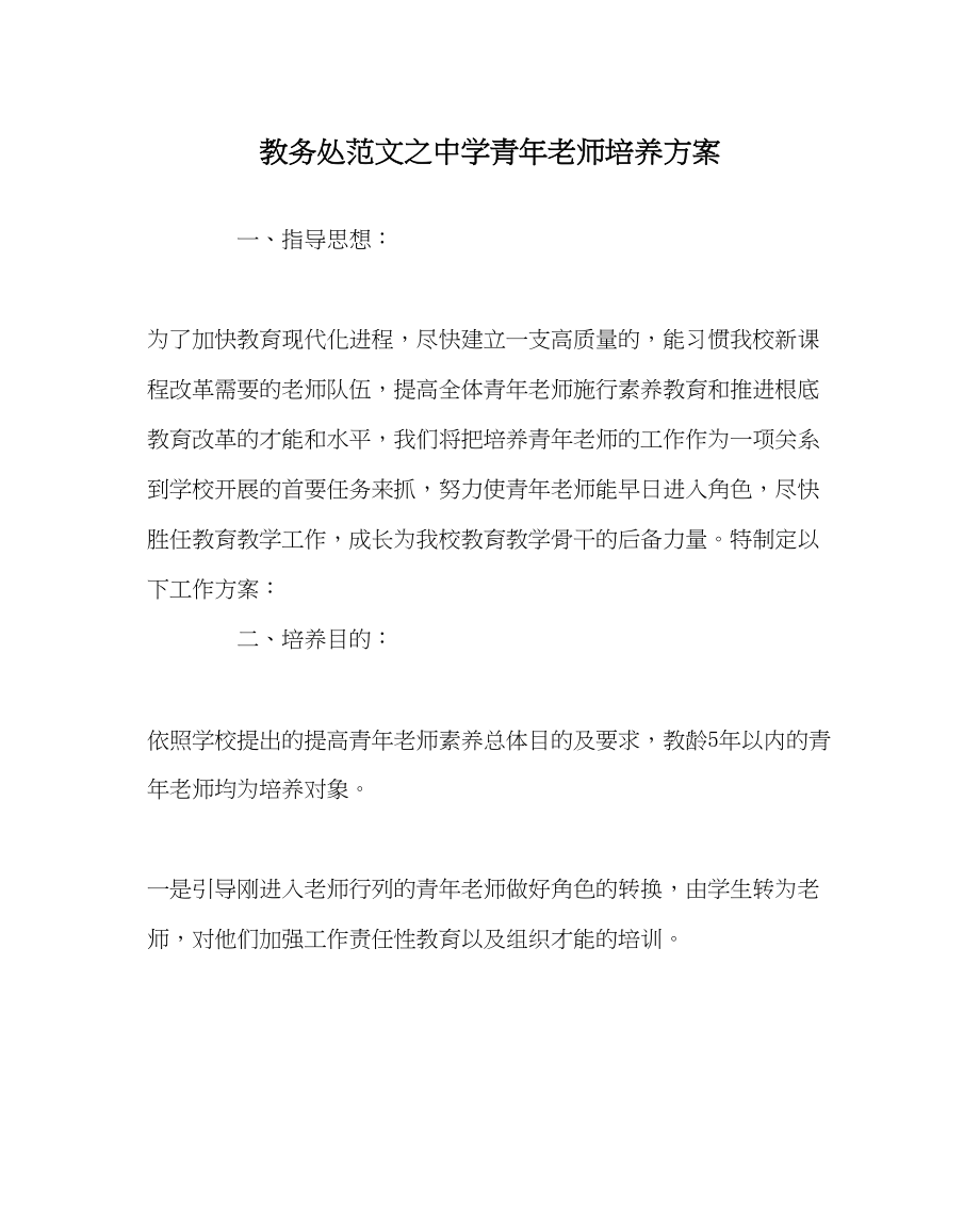 2023年教导处范文青年教师培养方案2.docx_第1页