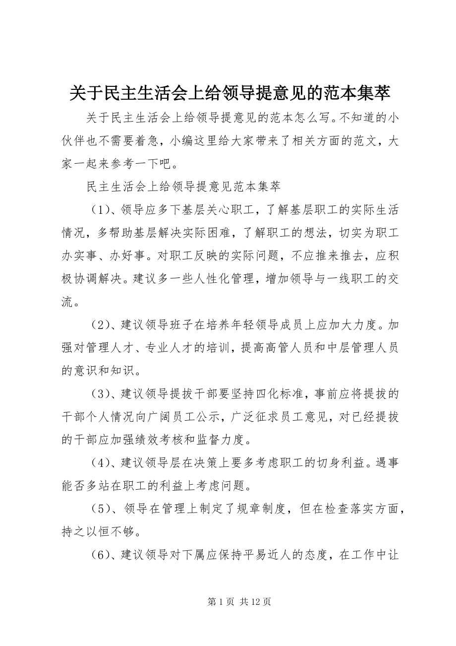 2023年民主生活会上给领导提意见的范本集萃.docx_第1页