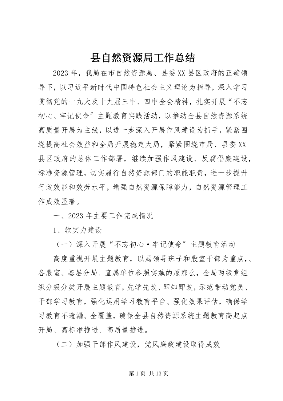 2023年县自然资源局工作总结.docx_第1页