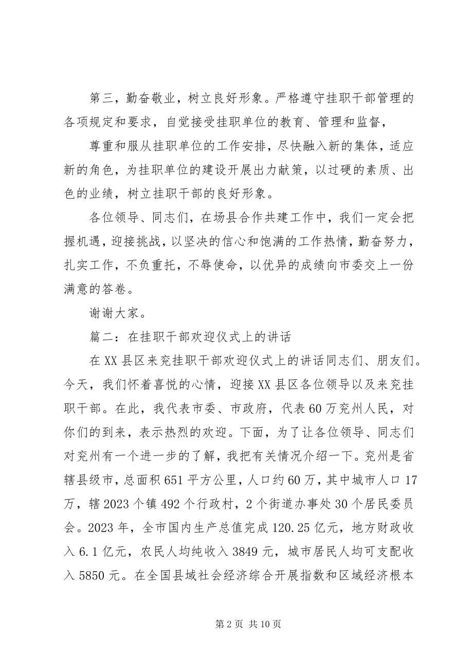 2023年挂职干部讲话稿.docx_第2页