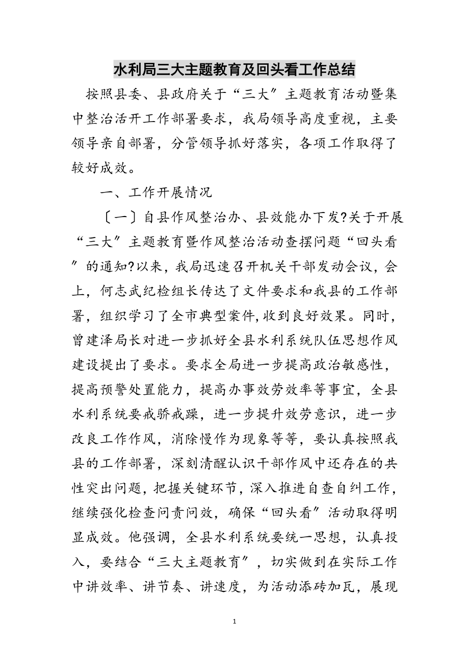 2023年水利局三大主题教育及回头看工作总结范文.doc_第1页