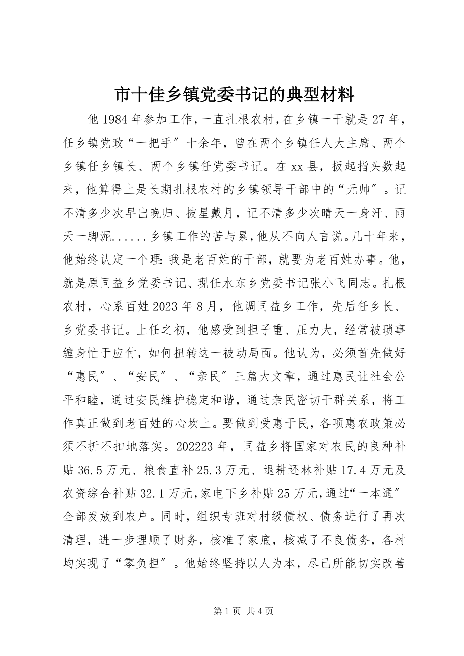 2023年市十佳乡镇党委书记的典型材料.docx_第1页