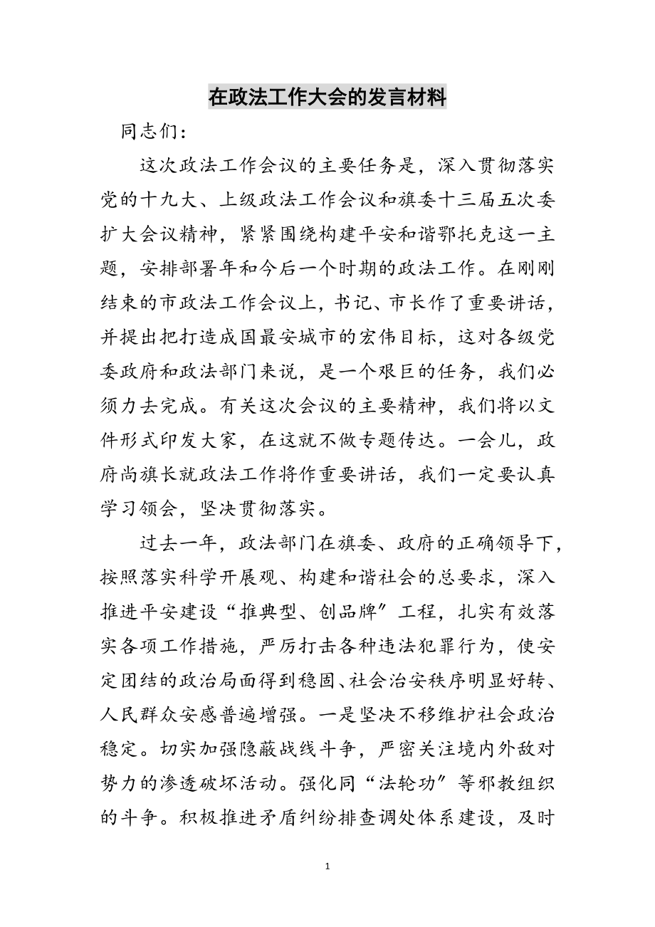 2023年在政法工作大会的发言材料范文.doc_第1页