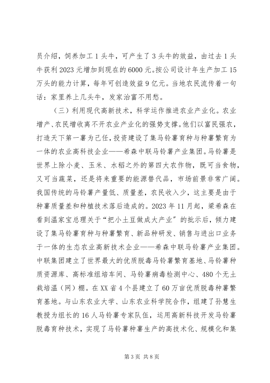 2023年希森模式的调查与思考.docx_第3页