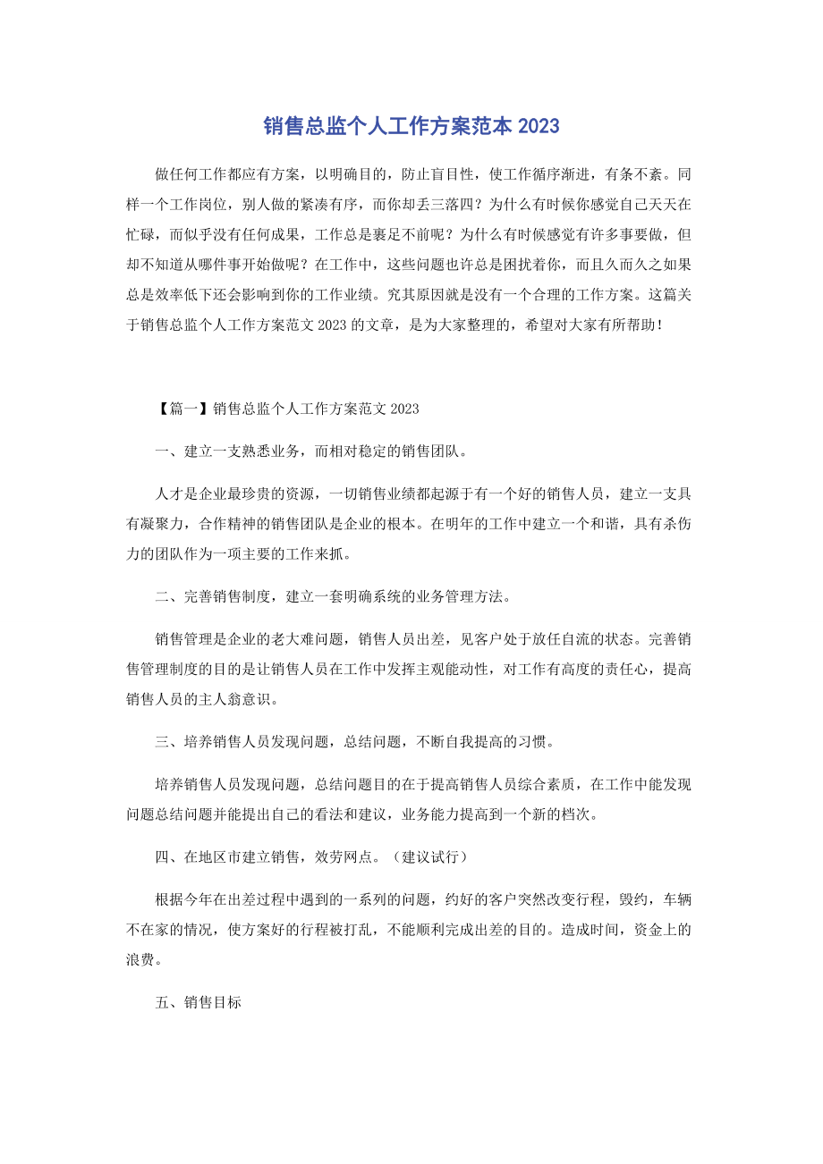 2023年销售总监个人工作计划范本.docx_第1页