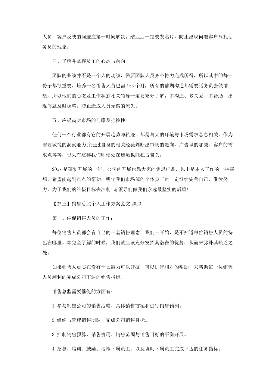 2023年销售总监个人工作计划范本.docx_第3页