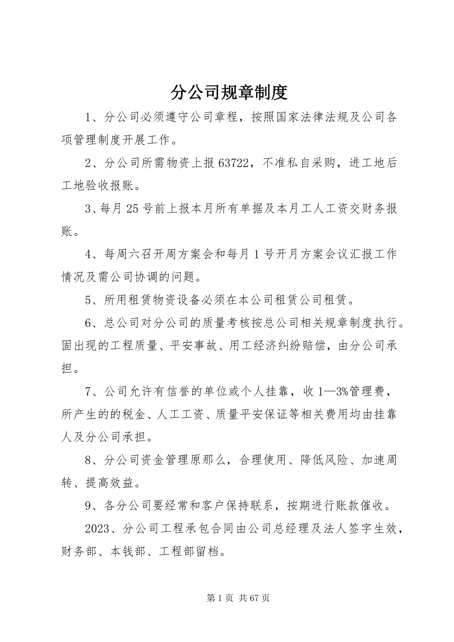 2023年分公司规章制度.docx_第1页