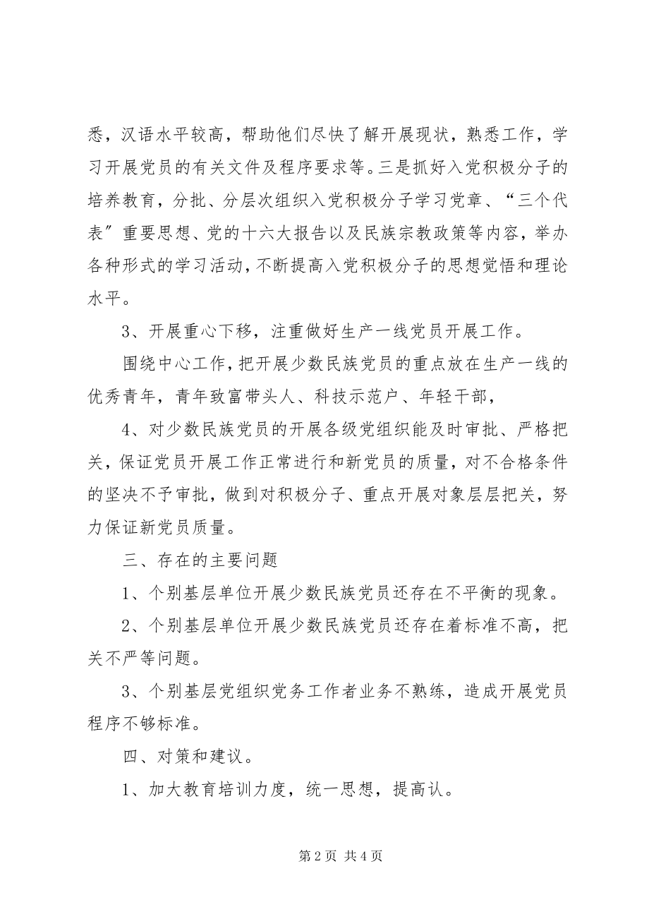 2023年发展少数民族党员工作总结.docx_第2页