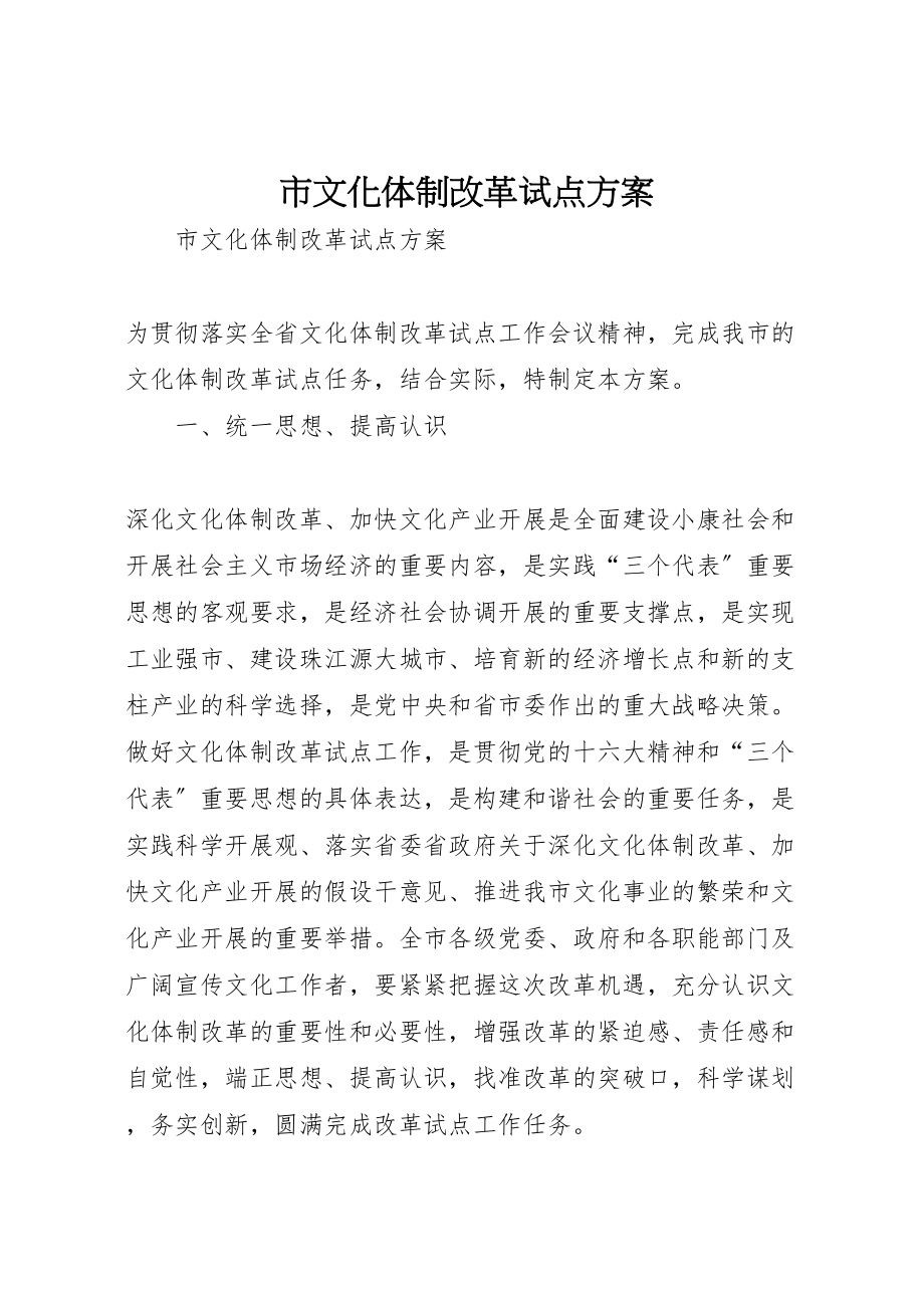 2023年市文化体制改革试点方案 .doc_第1页