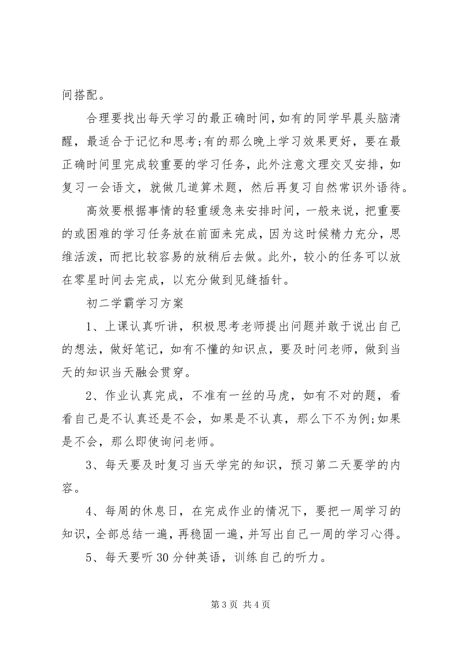 2023年小升初学霸学习计划表.docx_第3页