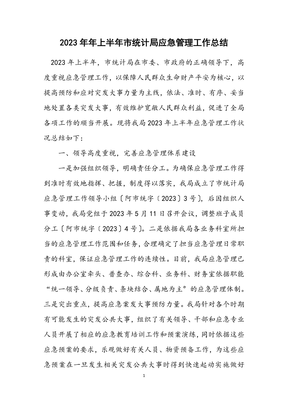 2023年上半年市统计局应急管理工作总结.docx_第1页