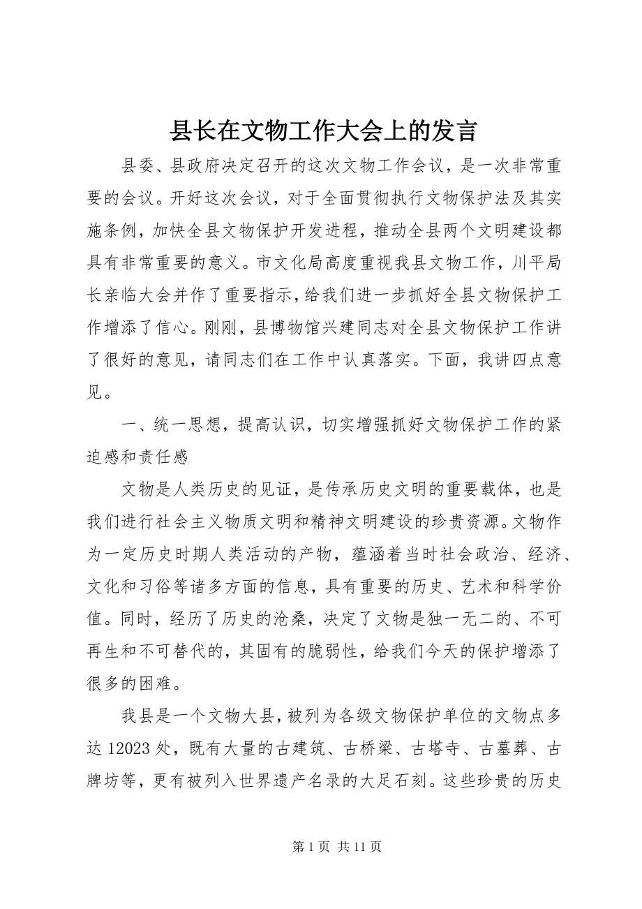 2023年县长在文物工作大会上的讲话.docx_第1页