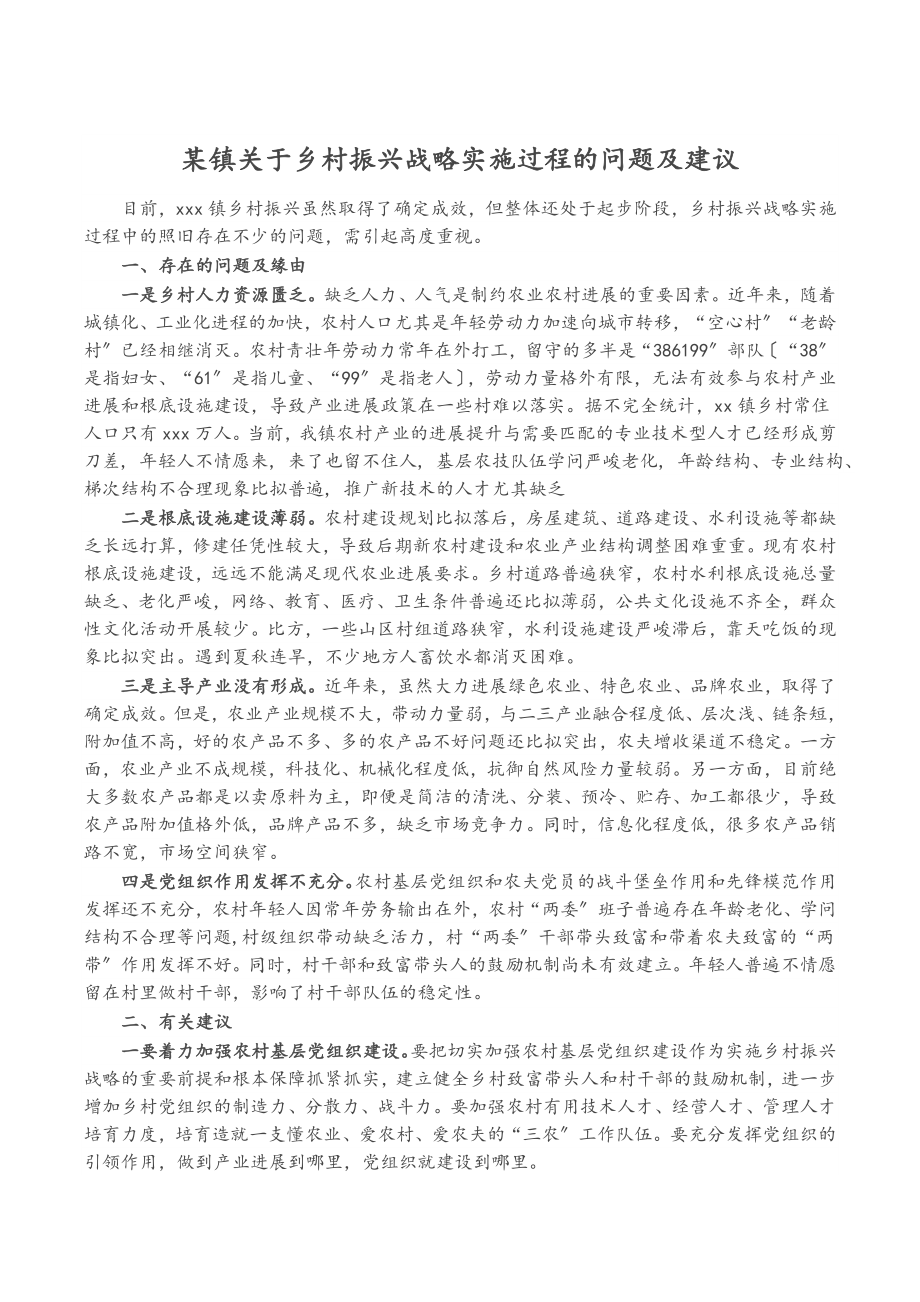 2023年某镇关于乡村振兴战略实施过程的问题及建议.doc_第1页