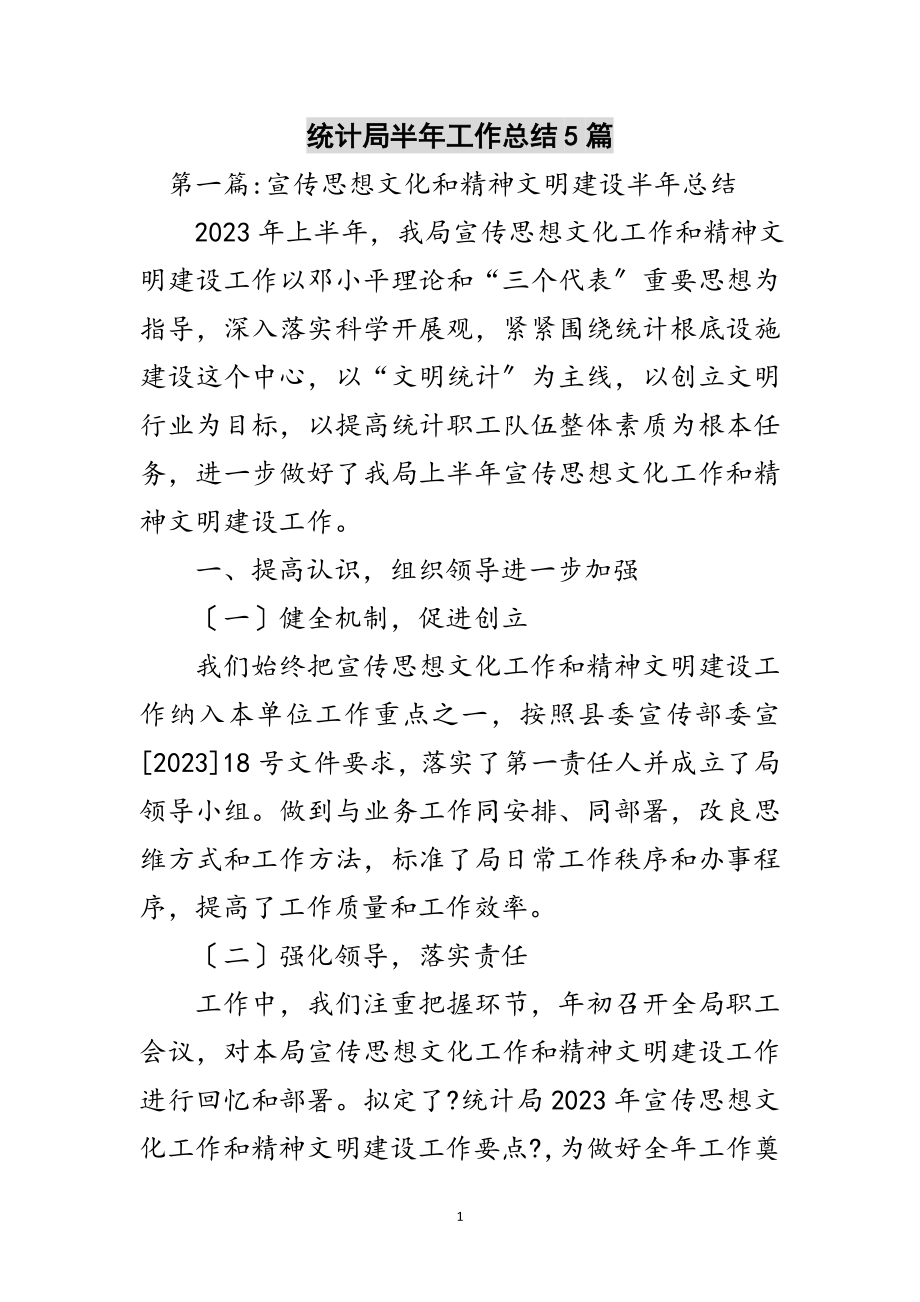 2023年统计局半年工作总结5篇范文.doc_第1页