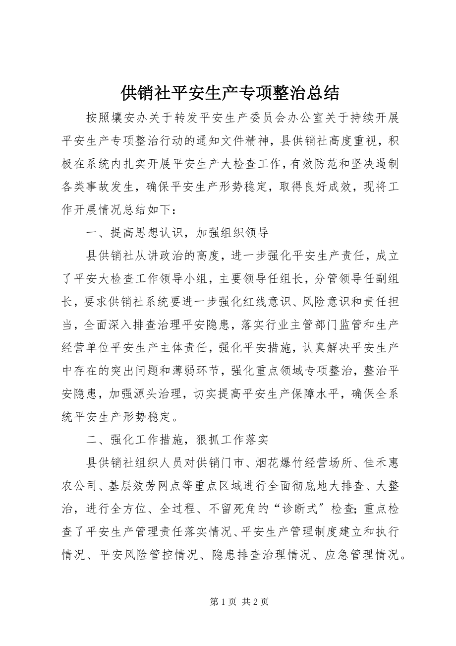 2023年供销社安全生产专项整治总结.docx_第1页