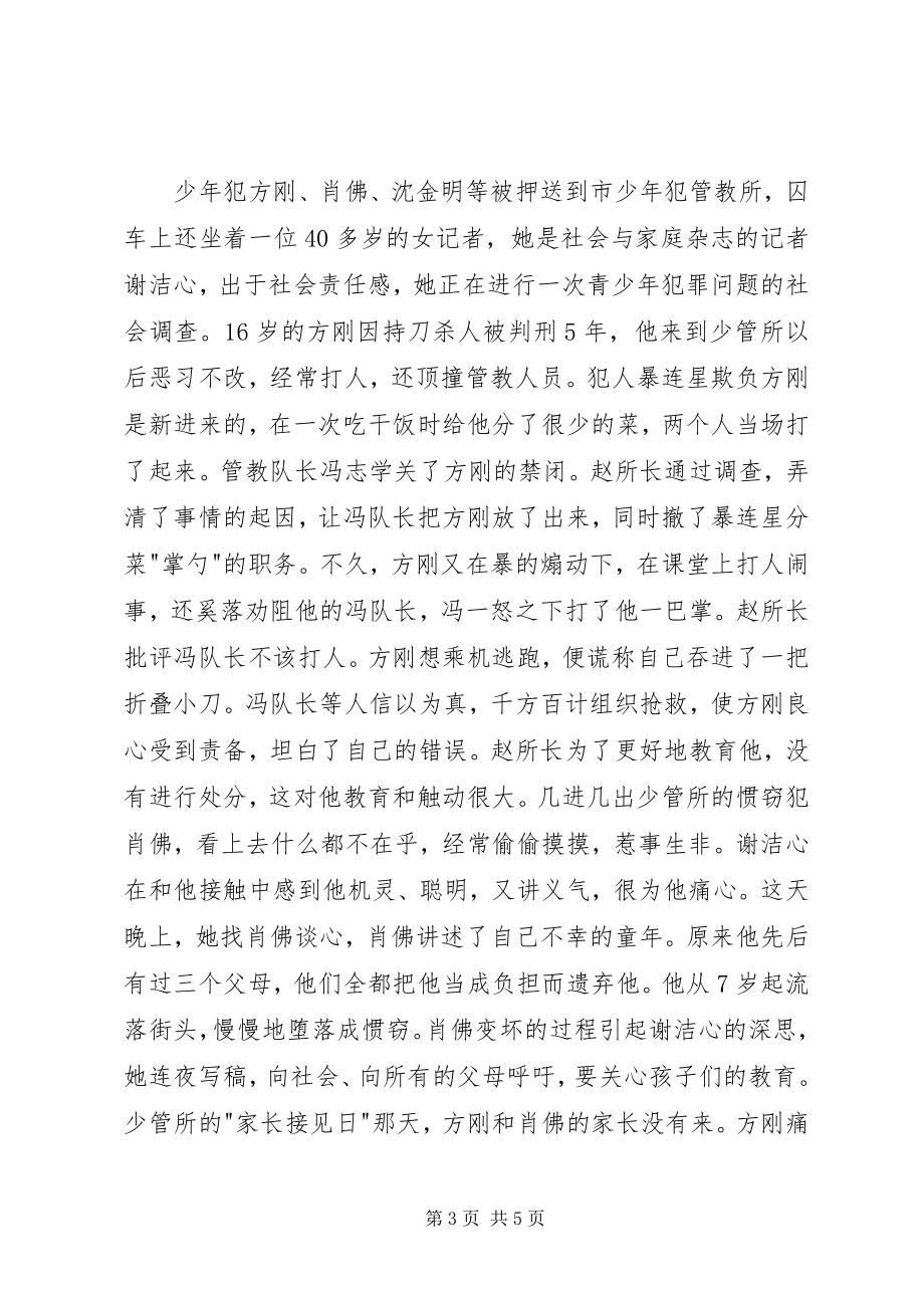 2023年少年犯观后感一.docx_第3页