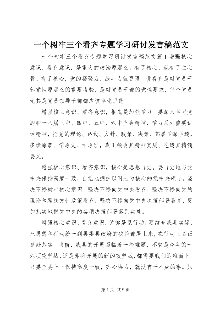 2023年一个树牢三个看齐专题学习研讨讲话稿.docx_第1页