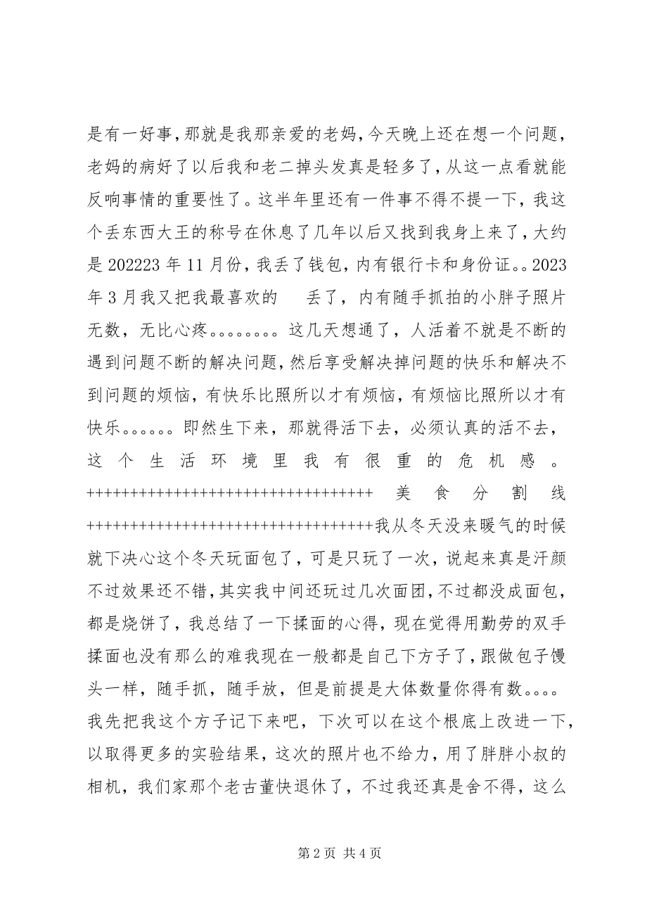 2023年面包半总结半工作总结.docx_第2页