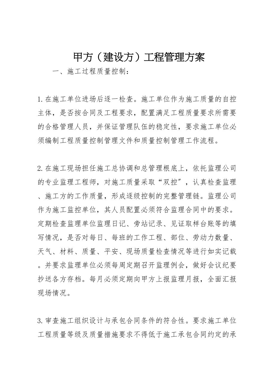 2023年甲方项目管理方案.doc_第1页