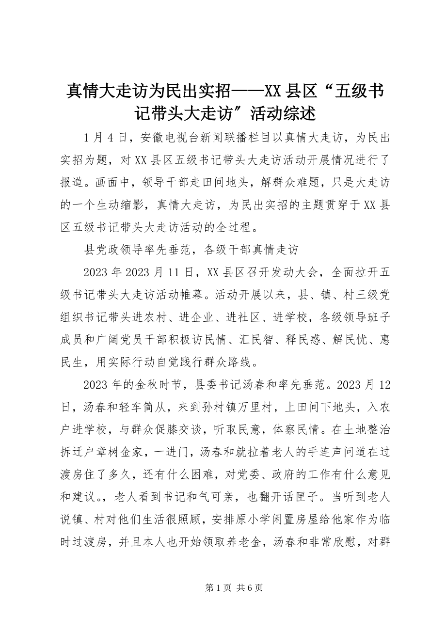 2023年真情大走访为民出实招XX县区“五级书记带头大走访”活动综述.docx_第1页