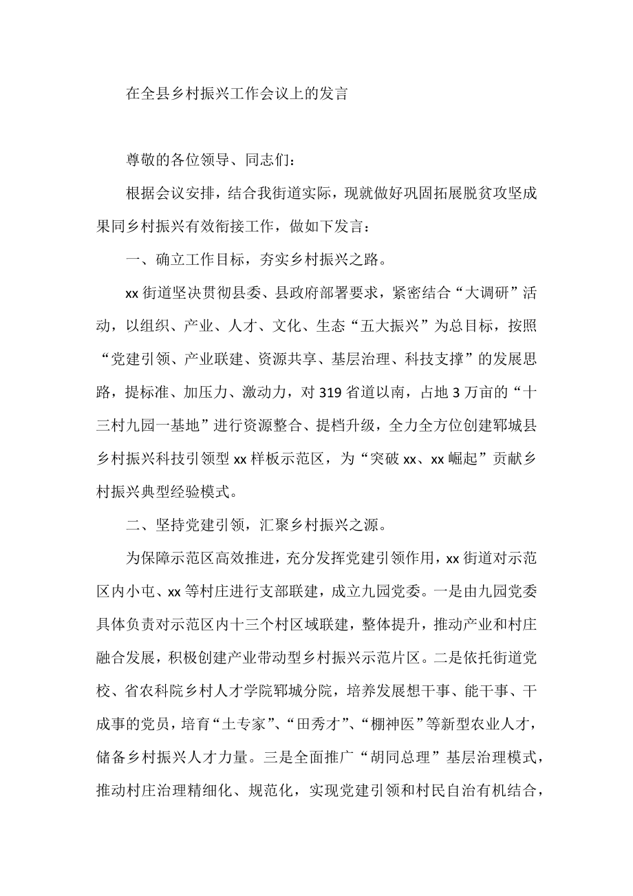 在全县乡村振兴工作会议上的发言.docx_第1页