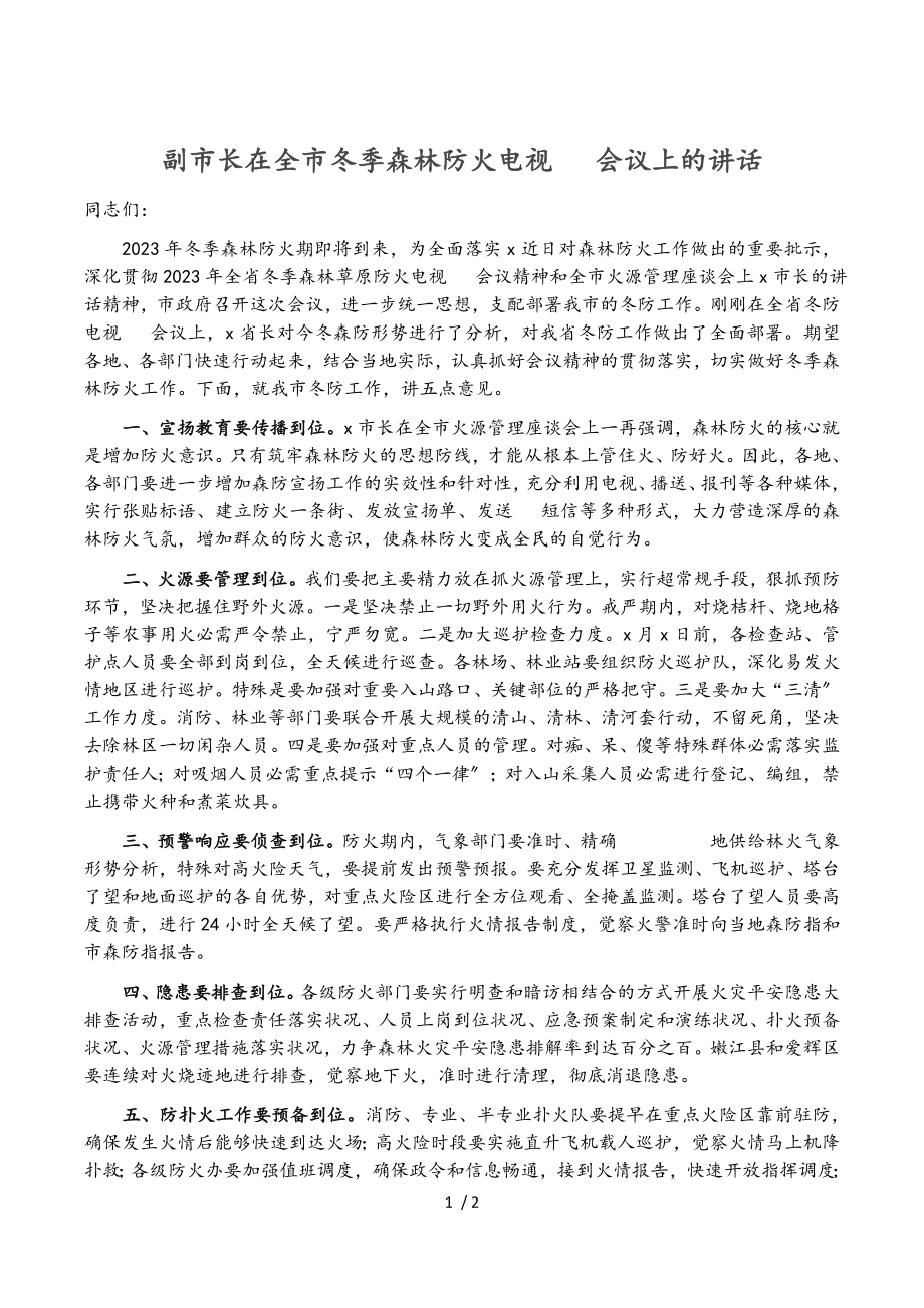 2023年副市长在全市冬季森林防火电视电话会议上的讲话.doc_第1页