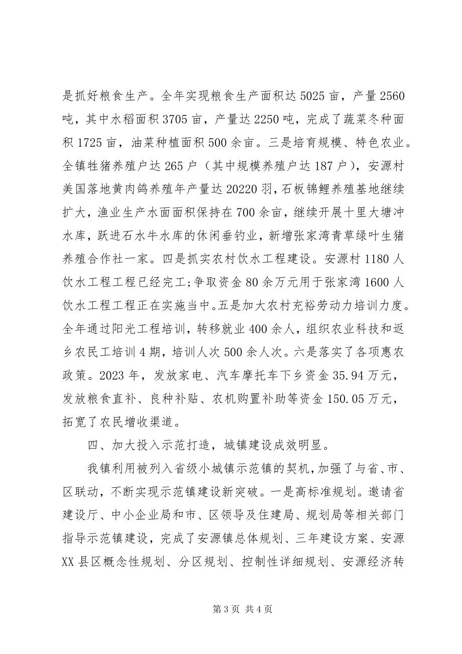 2023年乡镇领导年终工作总结.docx_第3页