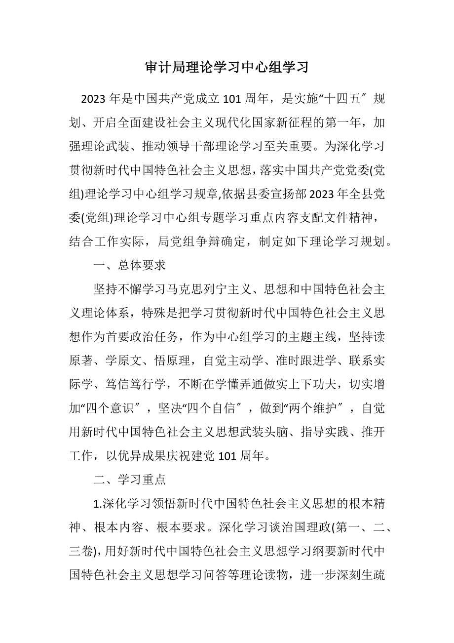 2023年审计局理论学习中心组学习计划.docx_第1页