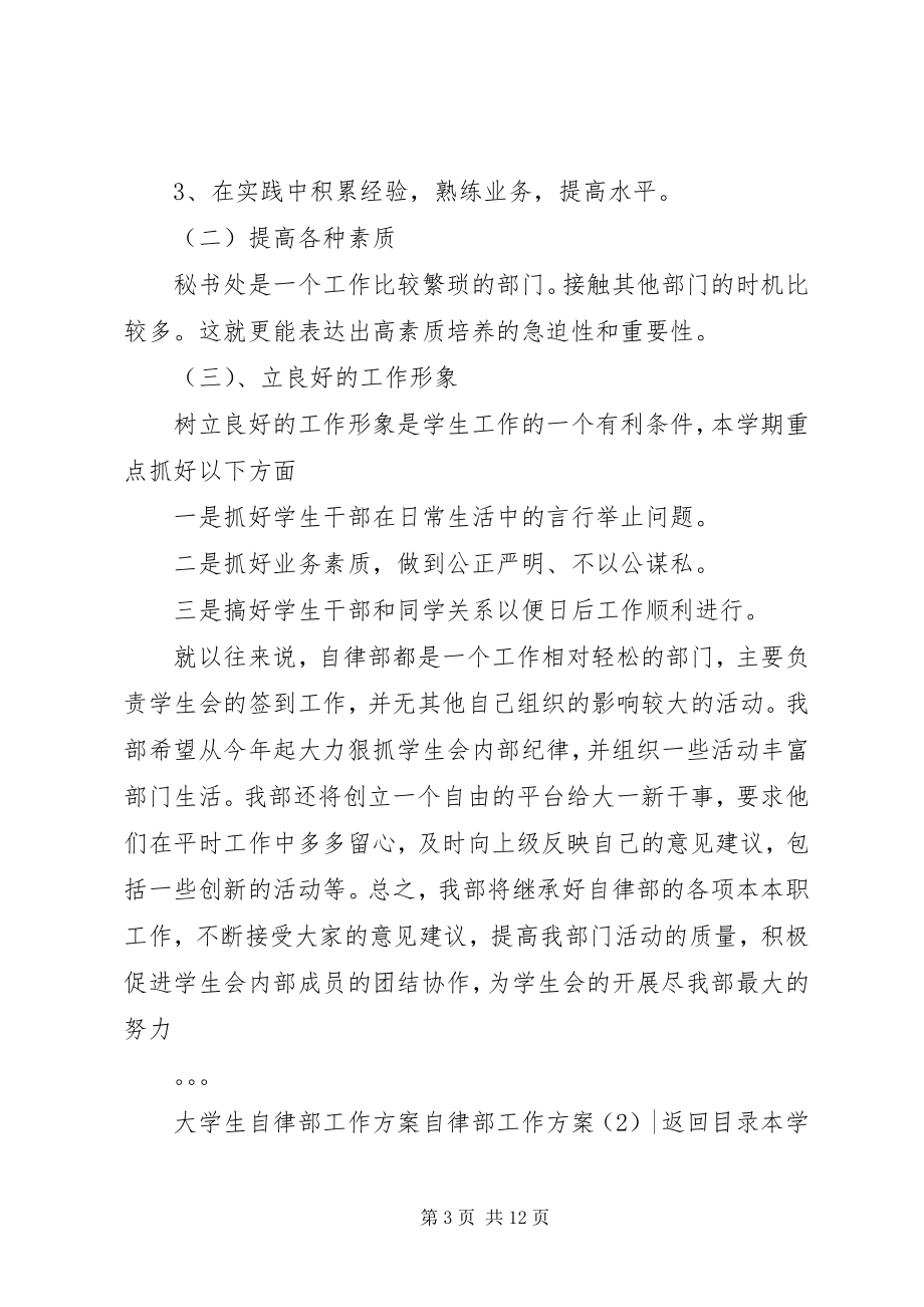 2023年自律部工作计划4篇.docx_第3页