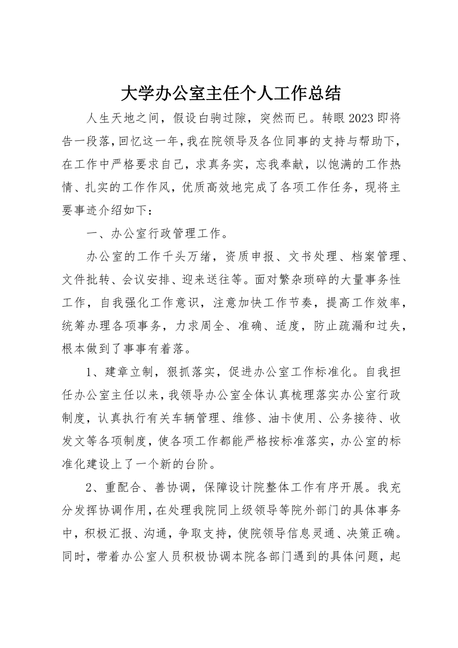 2023年大学办公室主任个人工作总结.docx_第1页