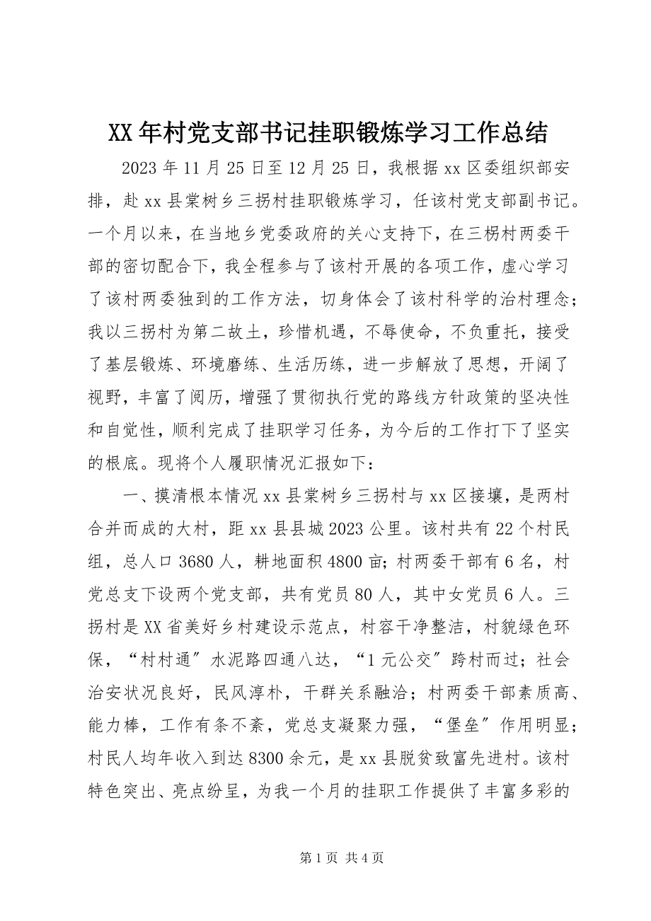 2023年村党支部书记挂职锻炼学习工作总结.docx_第1页