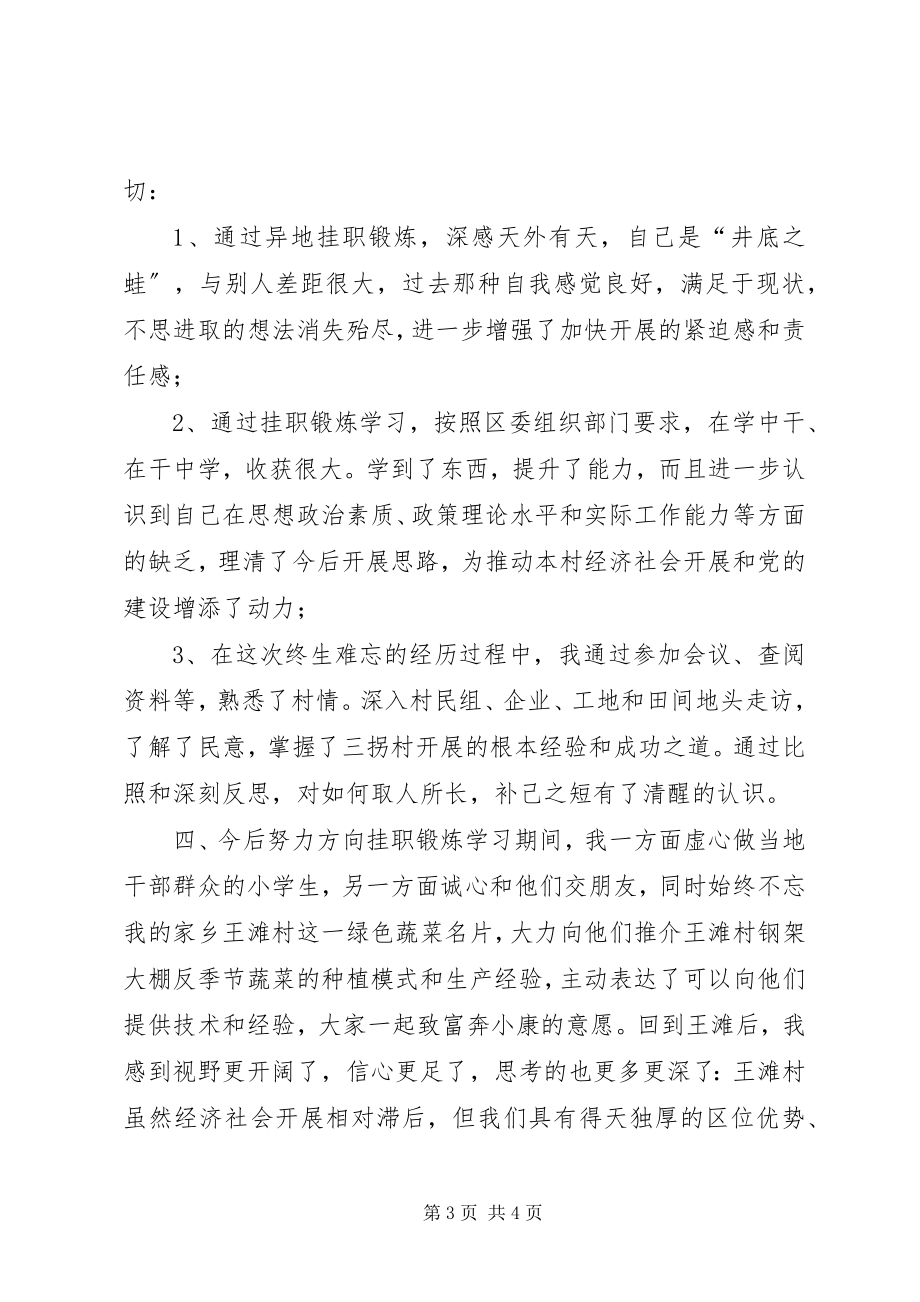 2023年村党支部书记挂职锻炼学习工作总结.docx_第3页