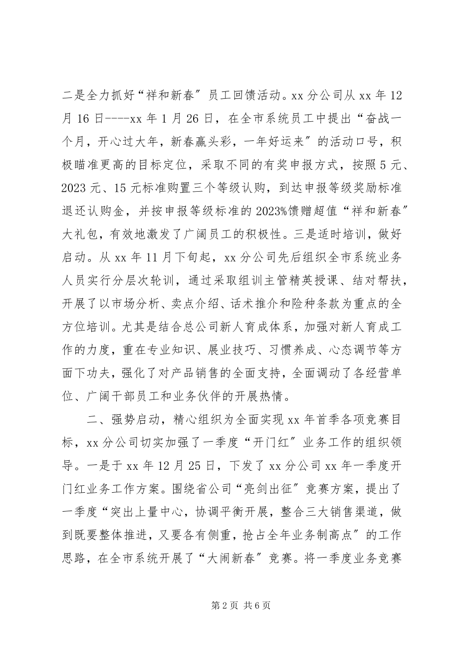 2023年保险分公司终总结年终总结新编.docx_第2页