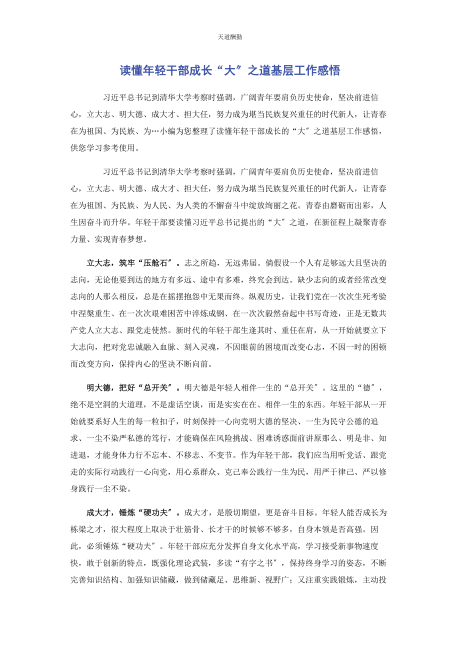 2023年读懂轻干部成长“大”之道基层工作感悟范文.docx_第1页