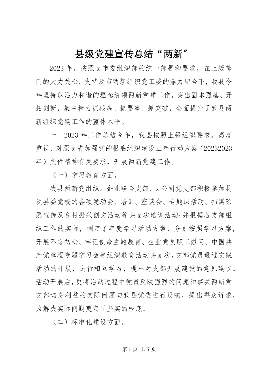 2023年县级党建宣传总结“两新”.docx_第1页