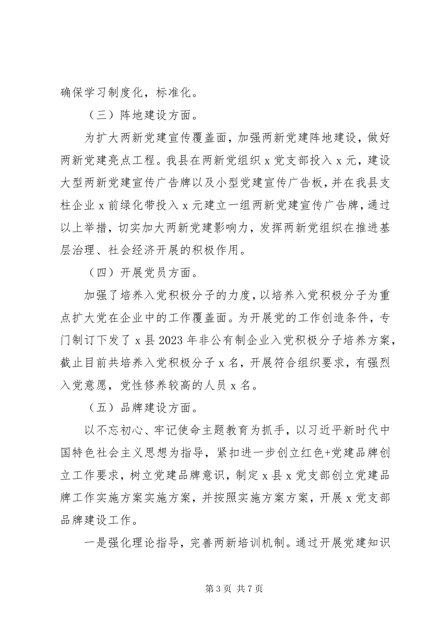 2023年县级党建宣传总结“两新”.docx_第3页